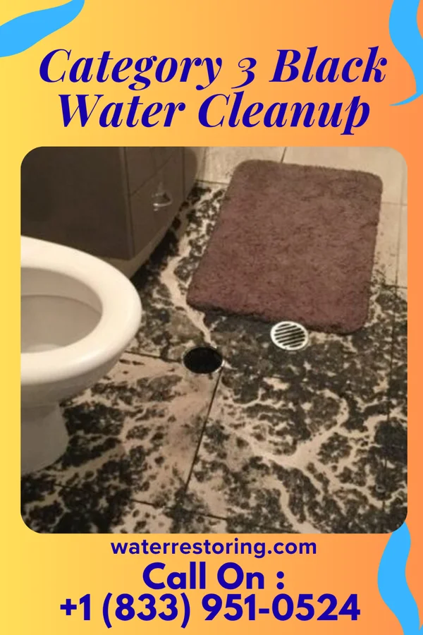 Category 3 Black Water Cleanup in Swartz Creek, MI
