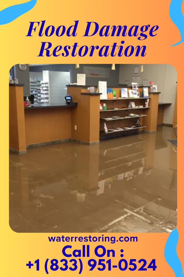 Flood Damage Restoration in Swartz Creek, MI