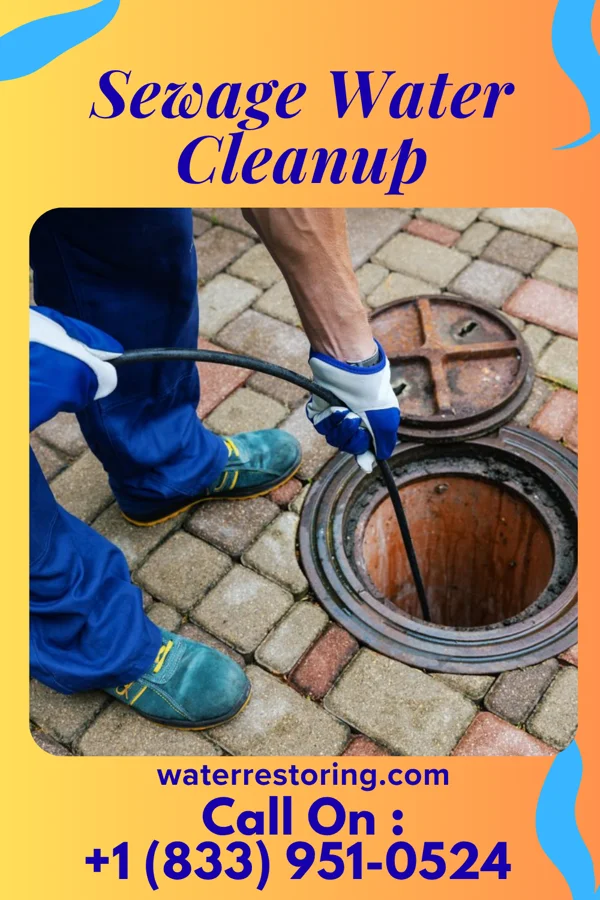 Sewage Water Cleanup in Swartz Creek, MI
