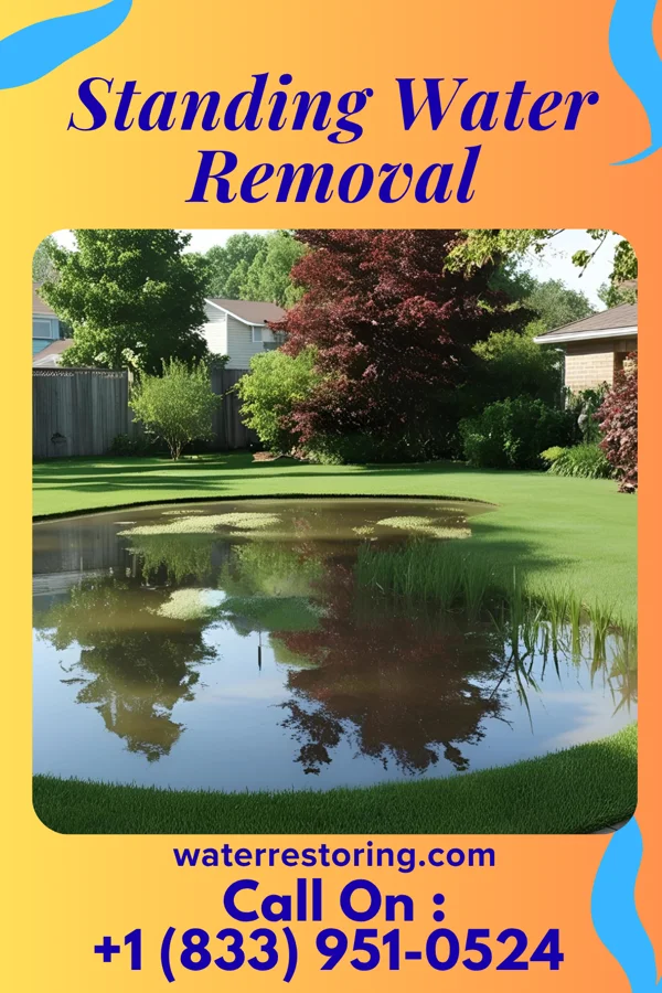 Standing Water Removal in Swartz Creek, MI